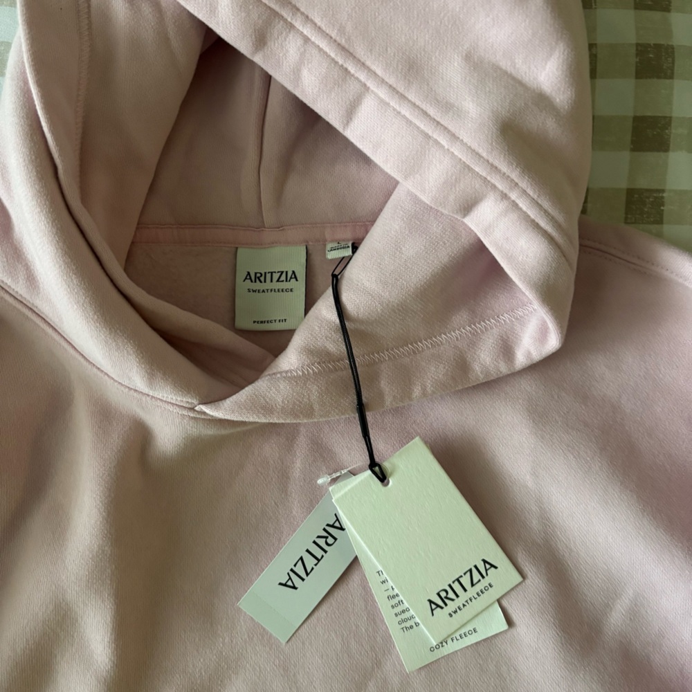 Aritzia Cozy Sweatfleece Perfect Hoodie - Picture 4 of 5